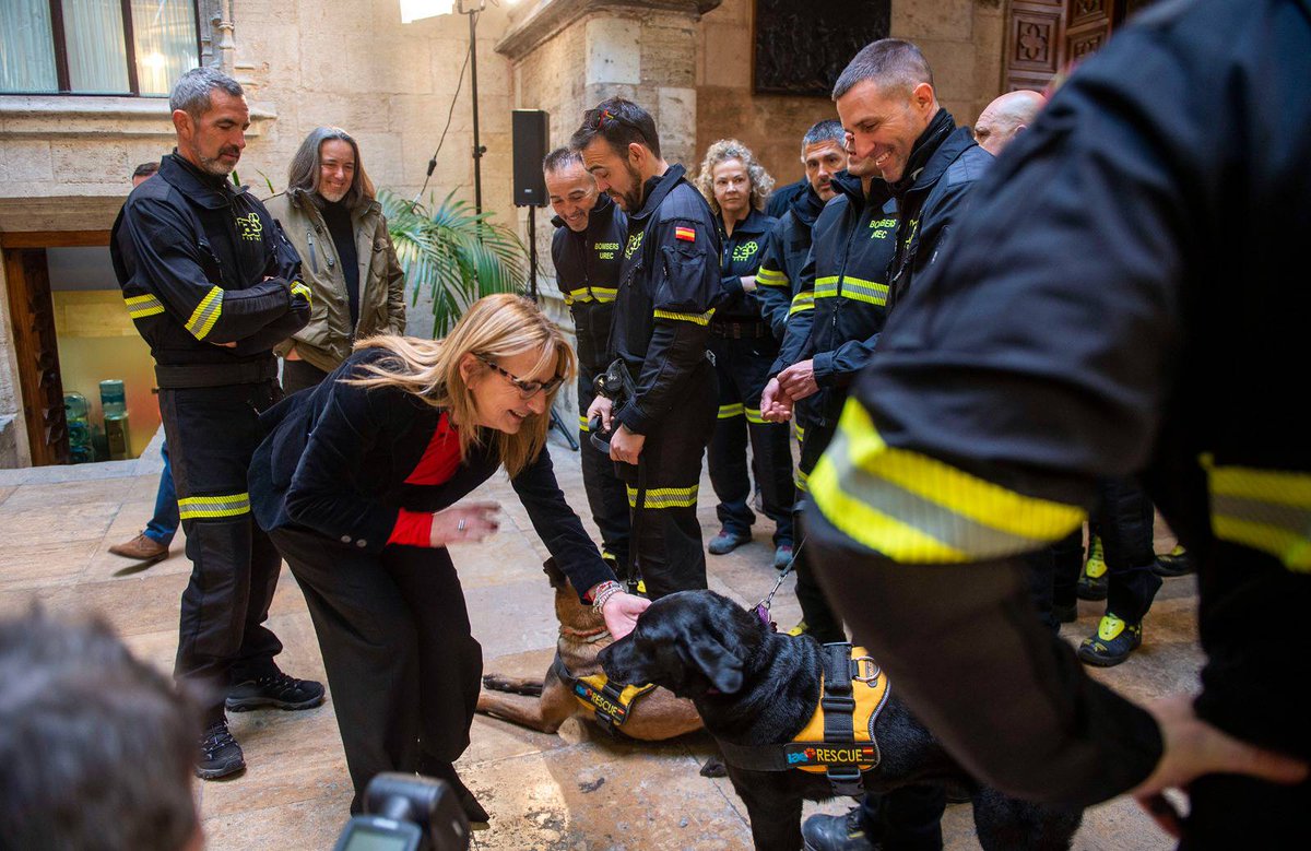 BombersValencia's tweet photo. Recepció de @ximopuig al palau @generalitat als #bombers #UREC @BombersValencia i integrants de @ONGIAE que han participat als rescats pel #terratrémol de #Turquia, amb l'assistència a l'acte de la presidenta CPBV @MariaJosepAmigo.

Orgull per la seua gran tasca en rescats!!👏 https://t.co/ddcBYlyCDE
