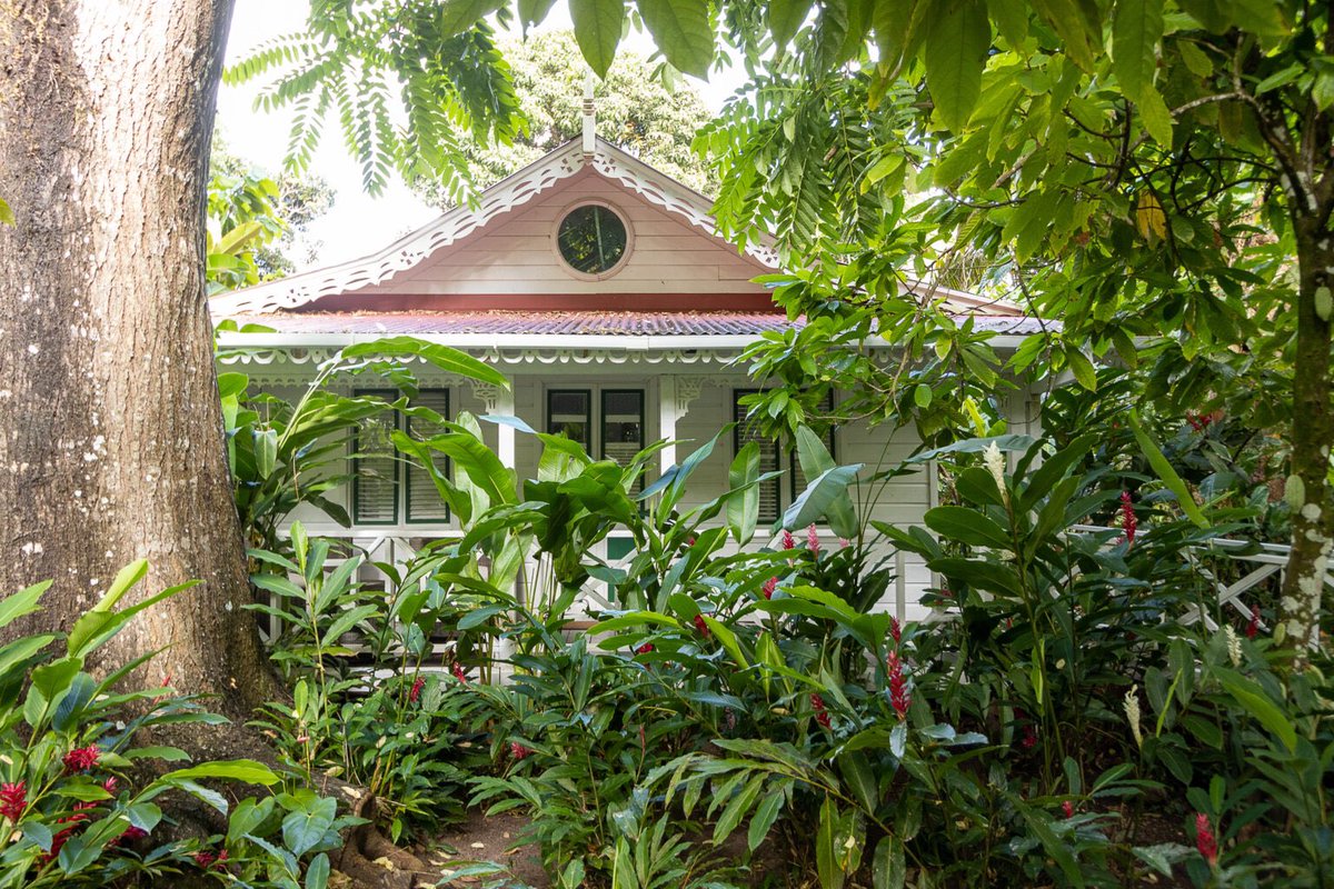 fonddoux's tweet photo. When planning your next St. Lucia getaway, why not personalize your experience by taking advantage of our exclusive hotel deals? See our packages &amp; special offers here: https://t.co/u9DrCTjItA https://t.co/pViKT6CAUK