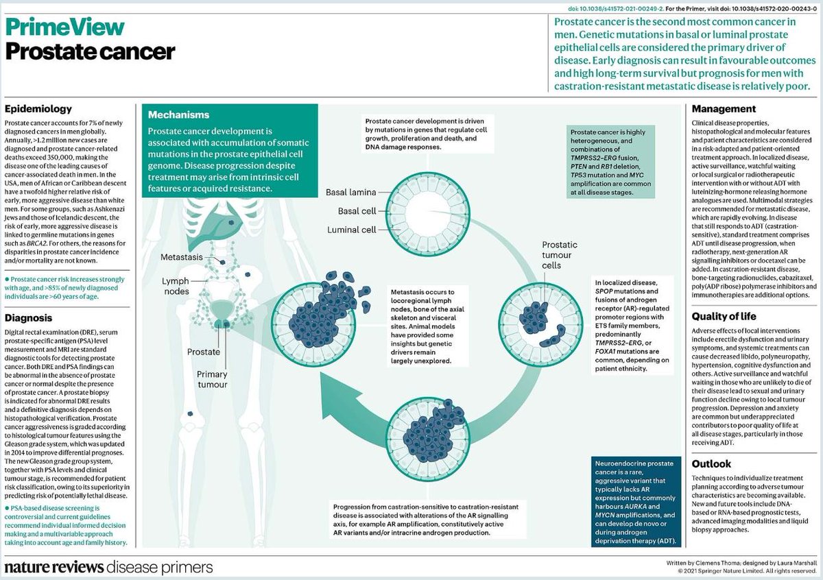 Nature Reviews Disease Primers on Twitter: "#ProstateCancer is the