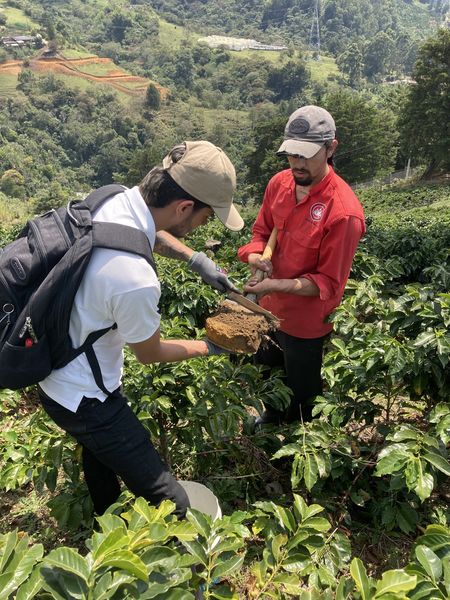 #Colombia  Stiamo lavorando per il miglioramento della produzione di #caffè del territorio.
#Staytuned!!!!
#ENGIMColombia
#Comuna8 
#Medellin  
#SustainableDevelopment