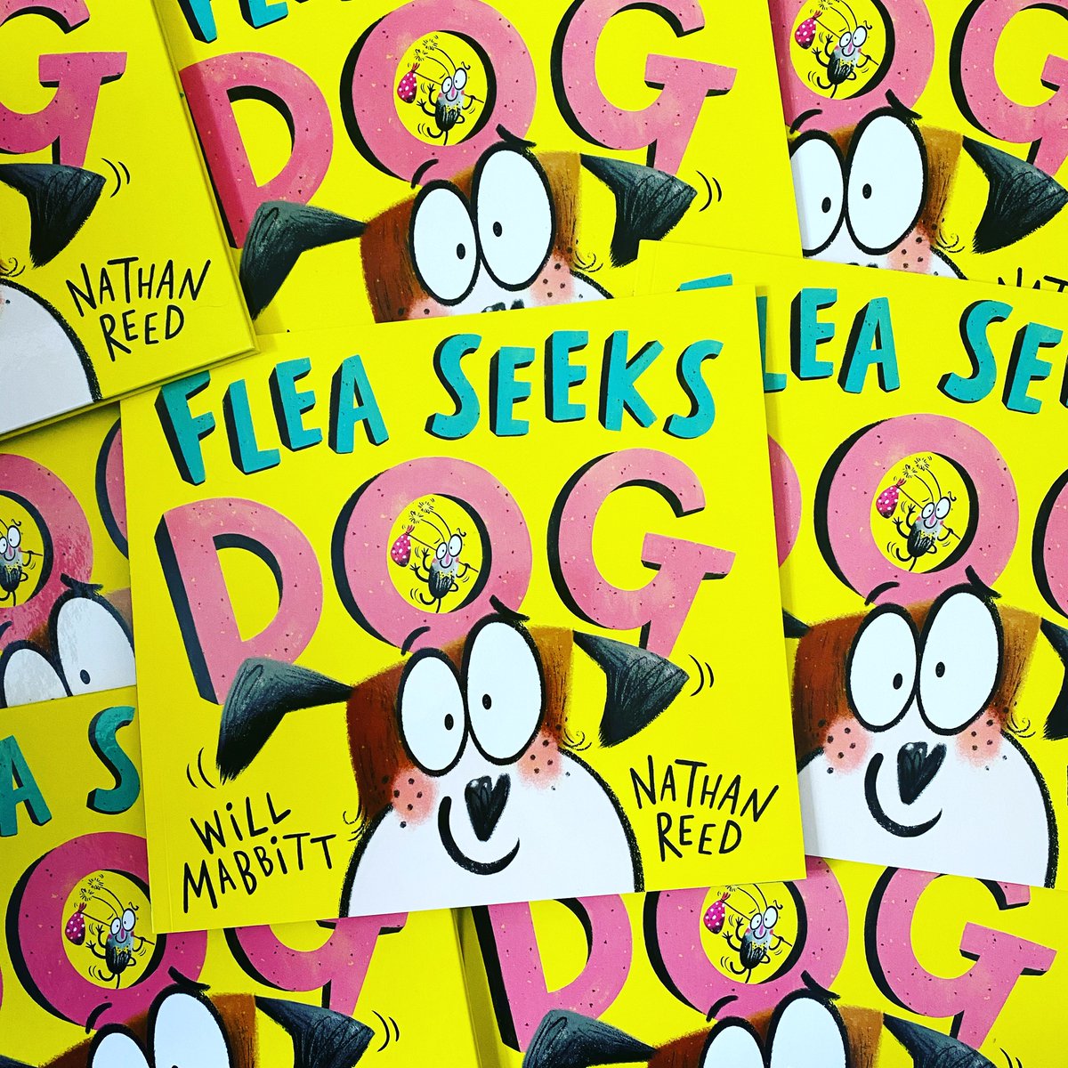 A lovely surprise to see “Flea Seeks Dog” by @gomabbitt ,me & @HachetteKids amongst the Indie Bookshop Bestsellers last week amongst some big guns and personal faves! 🙌 Thanks @LitalistBooks 😊