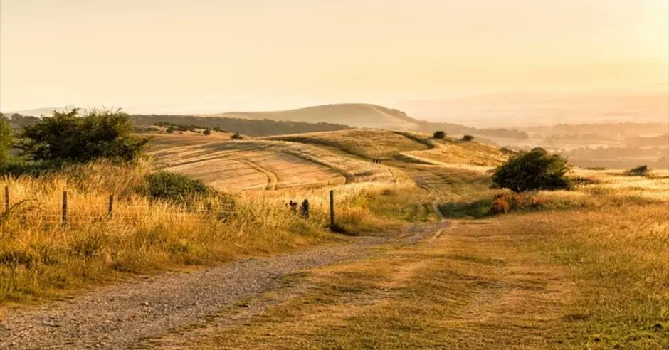 One of the best ways to discover #Brighton &amp; #Sussex is by bike.
To help you explore, why not use a tried &amp; tested bike ride? 
Make use of this free website. Rides are graded easy, medium and hard, so you'll find something suitable for sure:
bit.ly/3HUMAQQ 
<a href="/sosussex/">So Sussex</a>