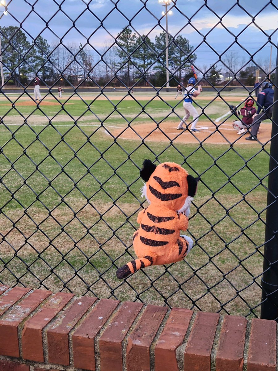 I watched my 1st baseball game the other day! ⚾️