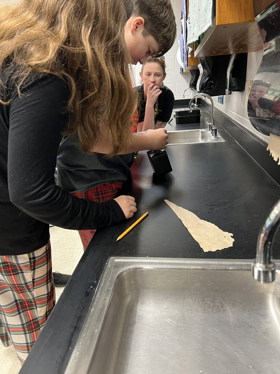 Amanda Wilmoth tweet media