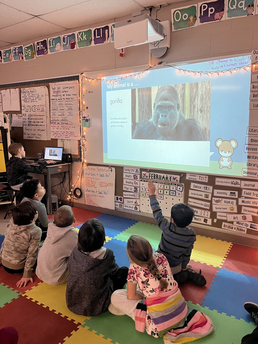 After all our research, we present our findings &amp; teach our peers about what we learned! We’re also learning how to be good audience members ! #grade1 #grade2 #sccdsb