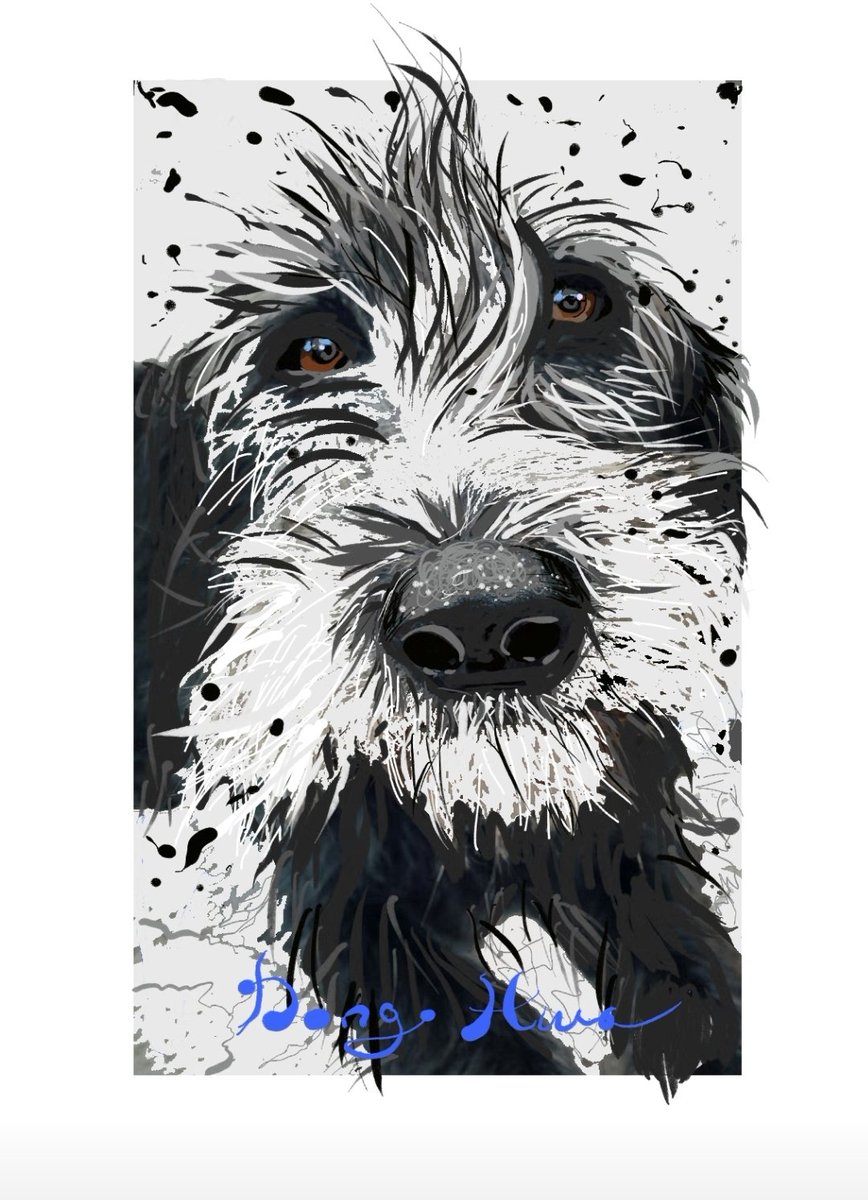 hwajjs1488's tweet image. #smartphone 
#touchpen