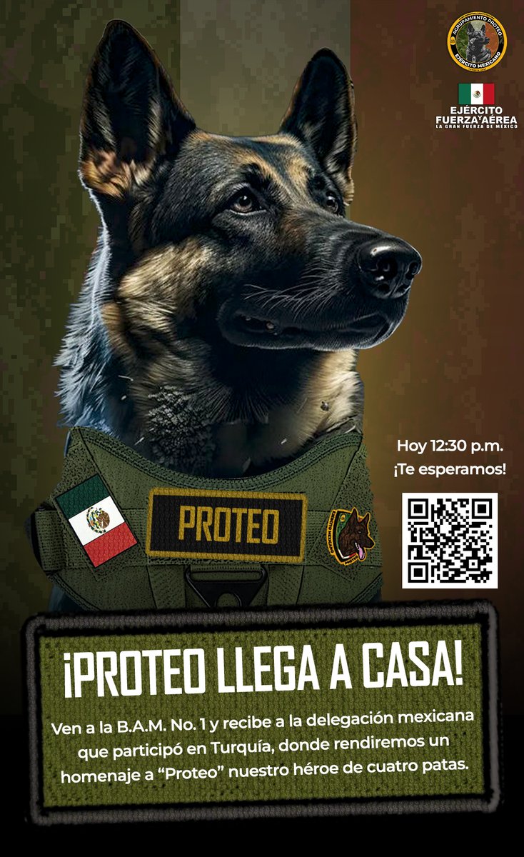 @Defensamx tweet media