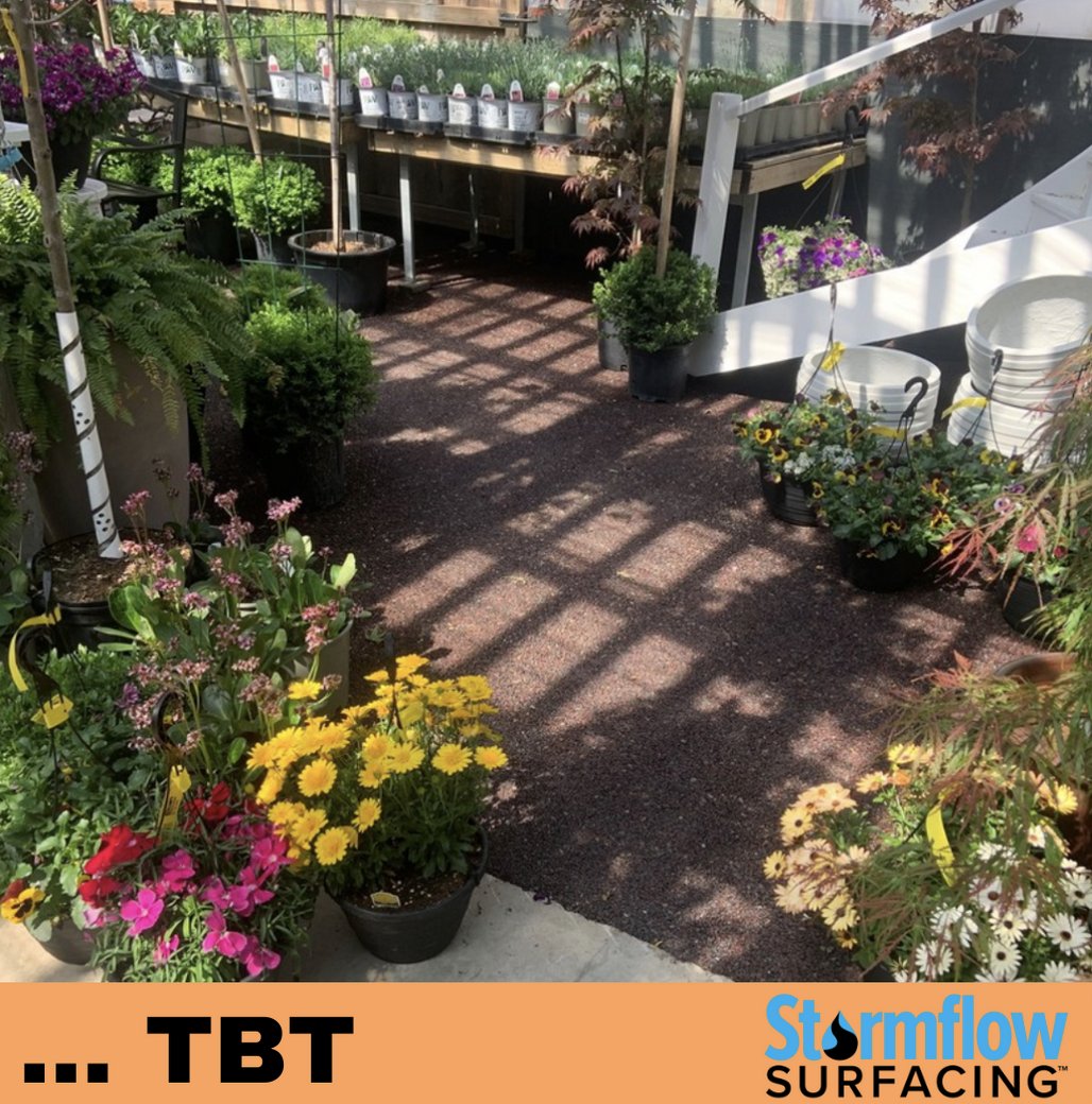 stormflowCanada's tweet photo. It's almost been 2 years since we completed this green house project for Klomps Home &amp; Garden? What a great use for our product!
#stormflowsurfacing #stormflow #environment #toronto #permeablepaving #gogreen  #greenforlife #smallbusiness #sustainablecompany https://t.co/Yr5rhPiq1J