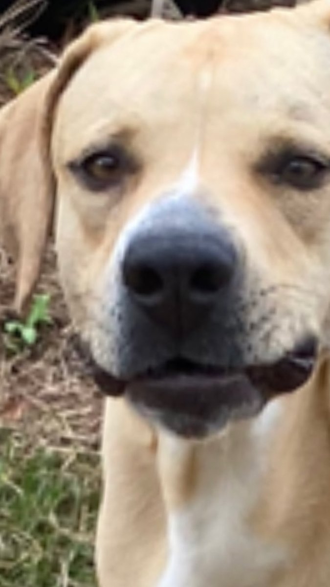 Stephan62487856's tweet image. #checkingitout