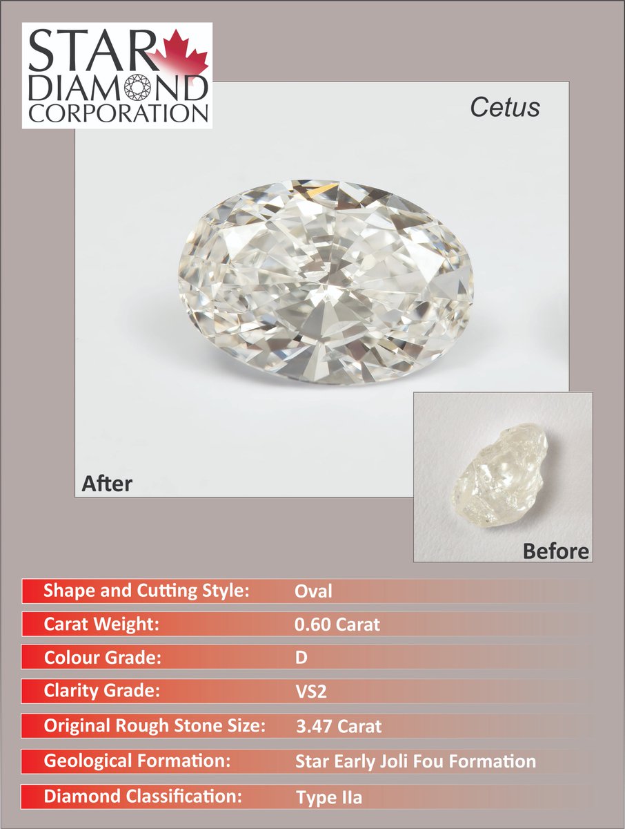 StarDiamondCorp's tweet photo. February 16, 2023 Meet Cetus! #diamonds #canadiandiamonds #PDAC2023 #Saskatchewan #Saskmining https://t.co/ZNlQQsBj6Y