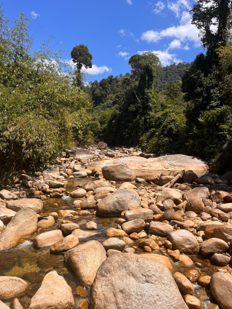 syafiqyusofff's tweet photo. You guys wanna see the effect of dam construction towards eco tourism? Well this happen in selama river, it might look beautiful, but this is not how it supposed to look, https://t.co/aSfFd9x4QL