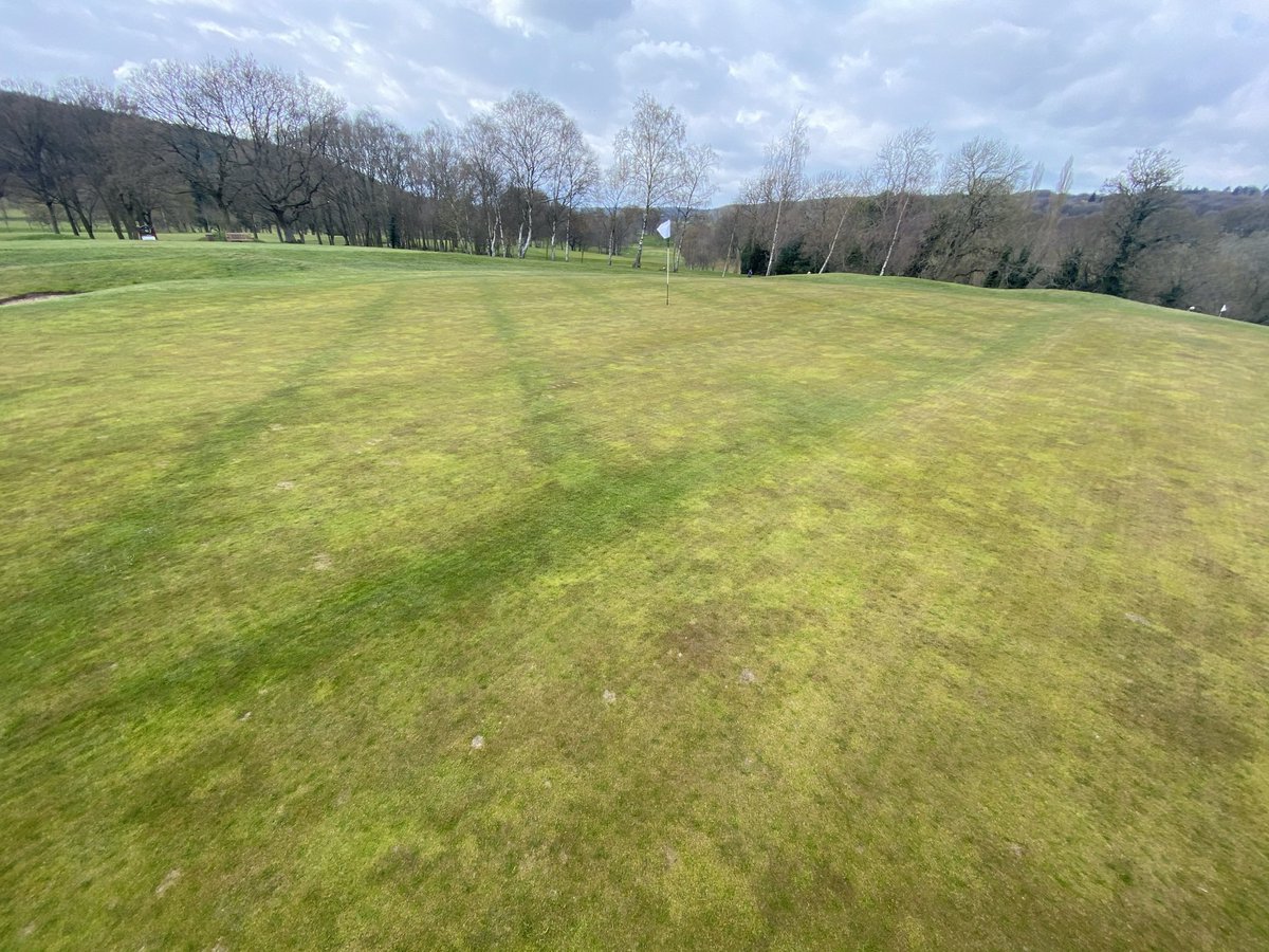 Chris Wood tweet media