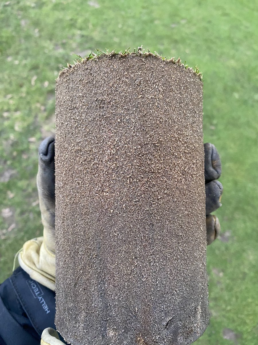 Two years between these two sets of photos. Absolutely delighted with the progress. Halved the OM %, raised the soil PH, improved percolation rates and moisture levels drastically. Limited nitrogen, irrigation, fungicides, spiking and absolutely no coring. Should be a good season