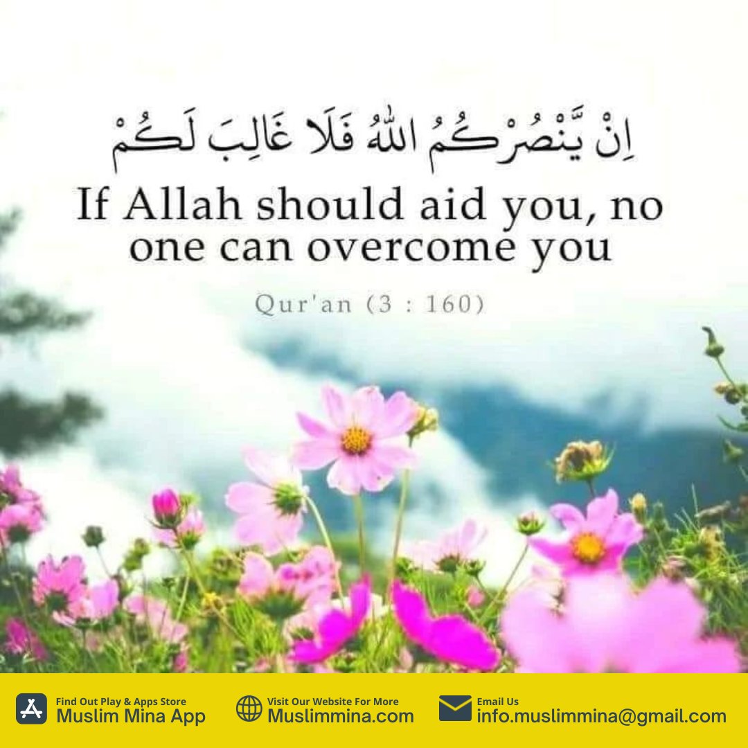 muslimminaapp's tweet photo. https://t.co/1gBxhLCALm