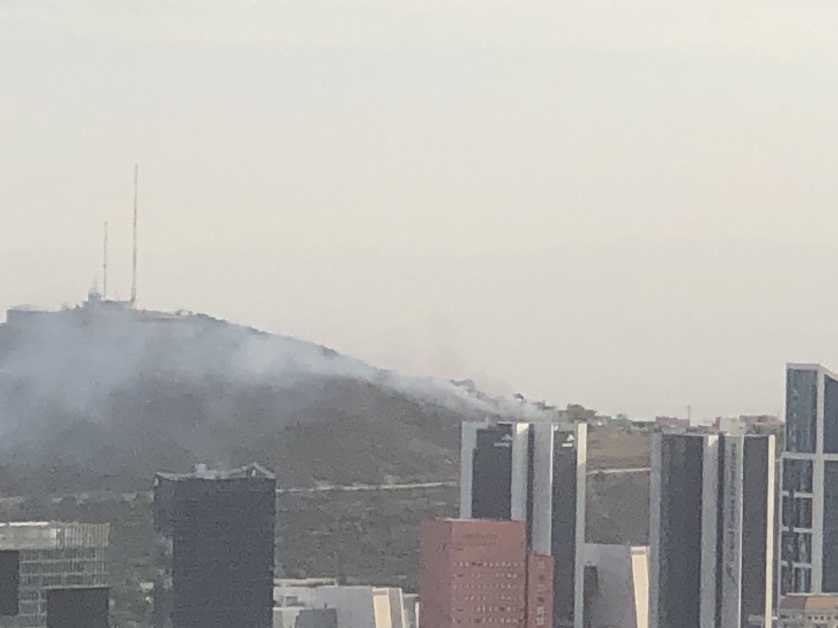 Hugo Bolio tweet media