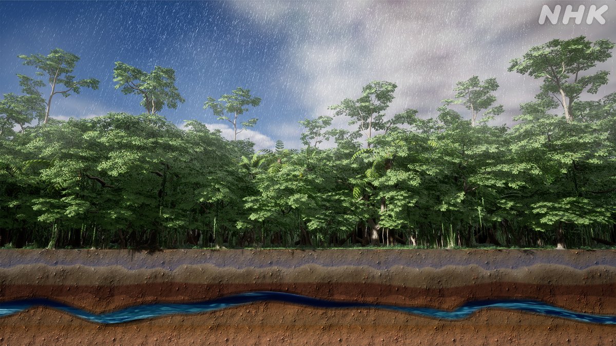 研究によると、アマゾンの干ばつは地球規模の炭素循環に永続的な影響を与える可能性がある