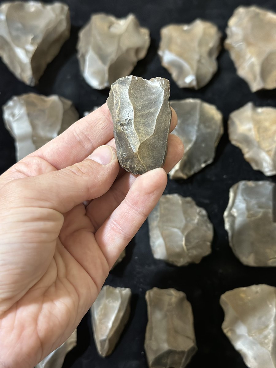 The diversity of Palaeolithic assemblages being studied by Arduq Team 2B in Dhofar: refit sequences from the Rub al’Khali, blade technology from two phases of the Upper/Late Palaeolithic, Mid Palaeolithic Nubian Levallois, and the intriguing Mid-Upper Palaeolithic “Mudayyan”