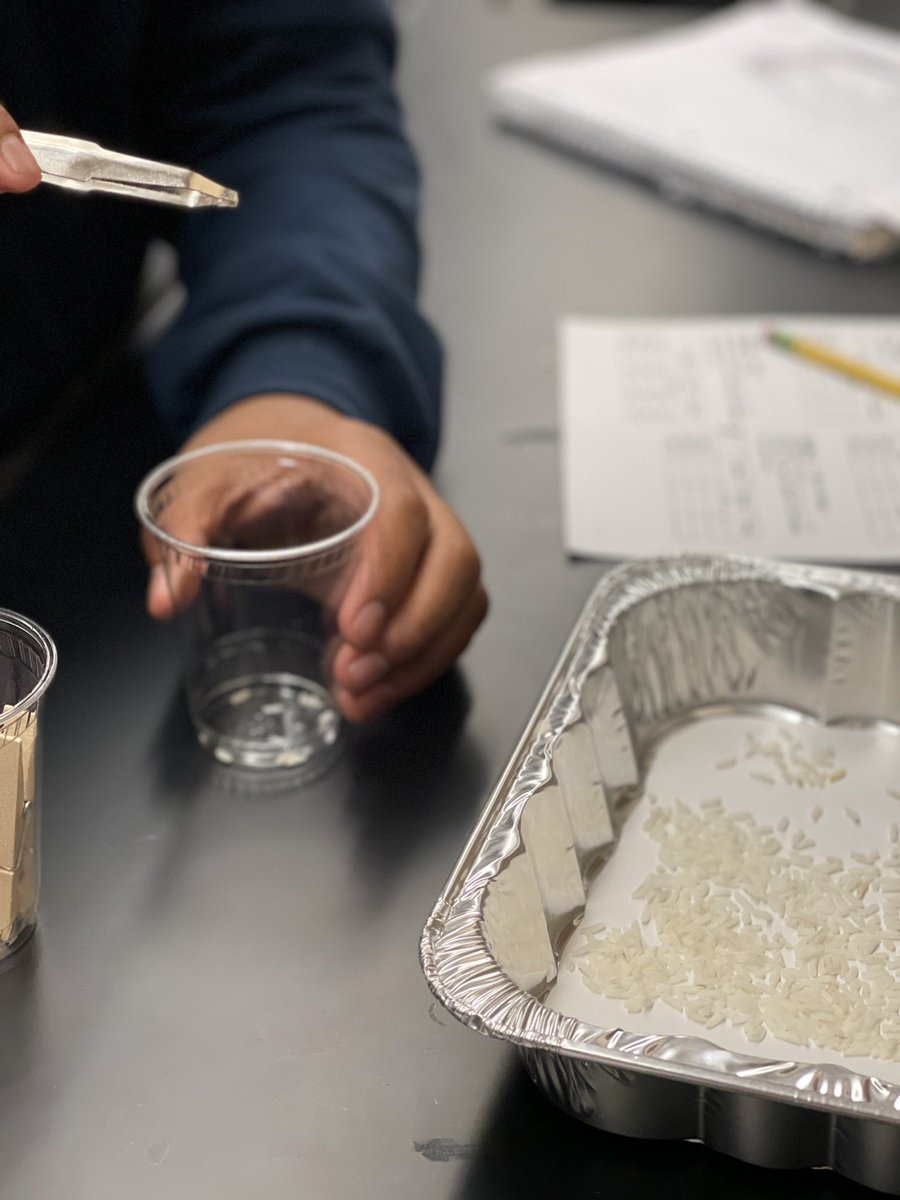 JennaDubs17's tweet photo. #7thscience @netzeroJMS completing a bird beak lab to learn about different #adaptations of beaks for Natural Selection. Kids had a great theme while learning! Way to go @price_sci https://t.co/3vgCjNWZas
