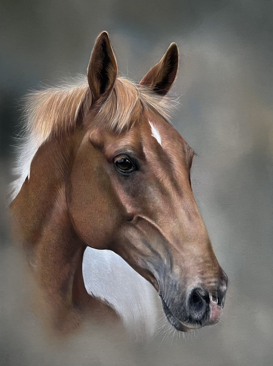 Arkamist finished! A challenging drawing to say the least!!! a nice change though. Hope everyones well 🐎🙂.
#art #artist #artistry #pencil #pencils #paintings #painting #portrait #horse #horseportrait #realism #realismart #realismartist #pastelart #pastelwork #fabercastell