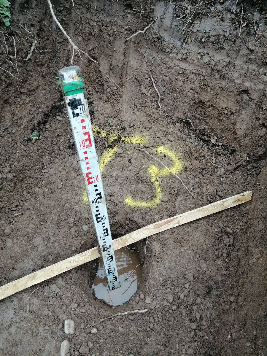 Tim Clifford tweet media