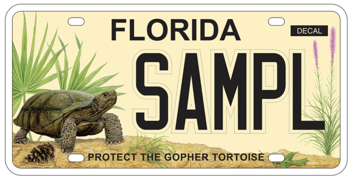 conservation_fl's tweet photo. The gopher tortoise is a threatened species in the state of Florida, primarily due to loss of upland habitat. In order to bring awareness to the plight of the gopher tortoise, Wildlands Conservation has created this specialty license plate. https://t.co/wSx2avRirW