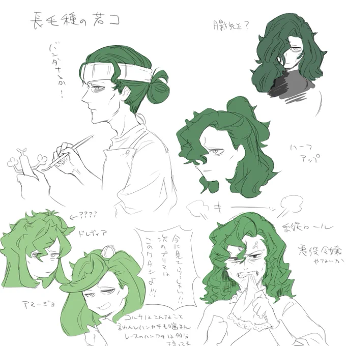 長毛にまつわるエトセトラらくがき 