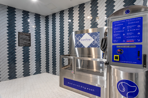 CityCrossingNH's tweet photo. Our pets have become like our children these days and of course we all want them to smell nice. Our pet spa has all the bells and whistles to make that puppy feel like a king or queen.
#pierpontliving #luxuriousliving #newhaven #apartmentliving #puppylove #petspa https://t.co/gJ7bzcFpjz