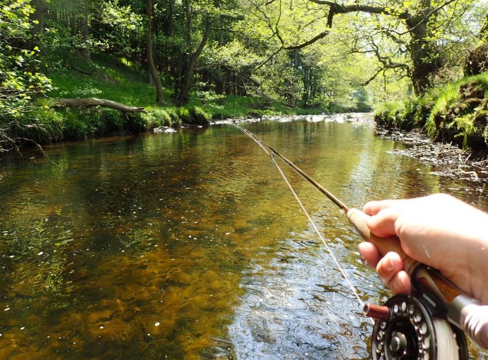 peaksflyfishing's tweet photo. Birchinlee fly fishing club has a space available for this season, wild brown trout fly fishing on river and lake in the stunning Peak District >> https://t.co/VOSIBCgekO #flyfishing #peakdistrict https://t.co/lpFUvLxIB8