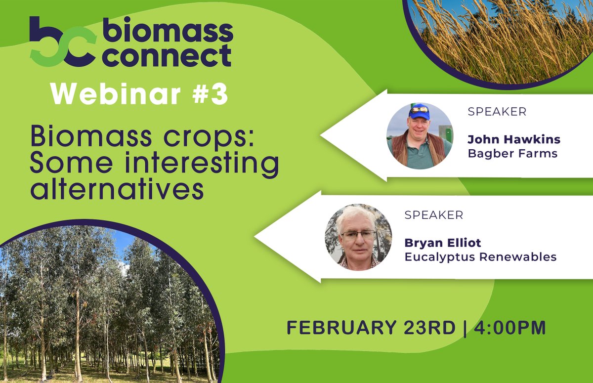 BiomassConnect's tweet image. Register for the #BiomassConnect Webinar: "Biomass Crops, some interesting alternatives" with speakers John Hawkins of Bagber Farms and Bryan Elliot of @EucRenewables.

loom.ly/SeennDU