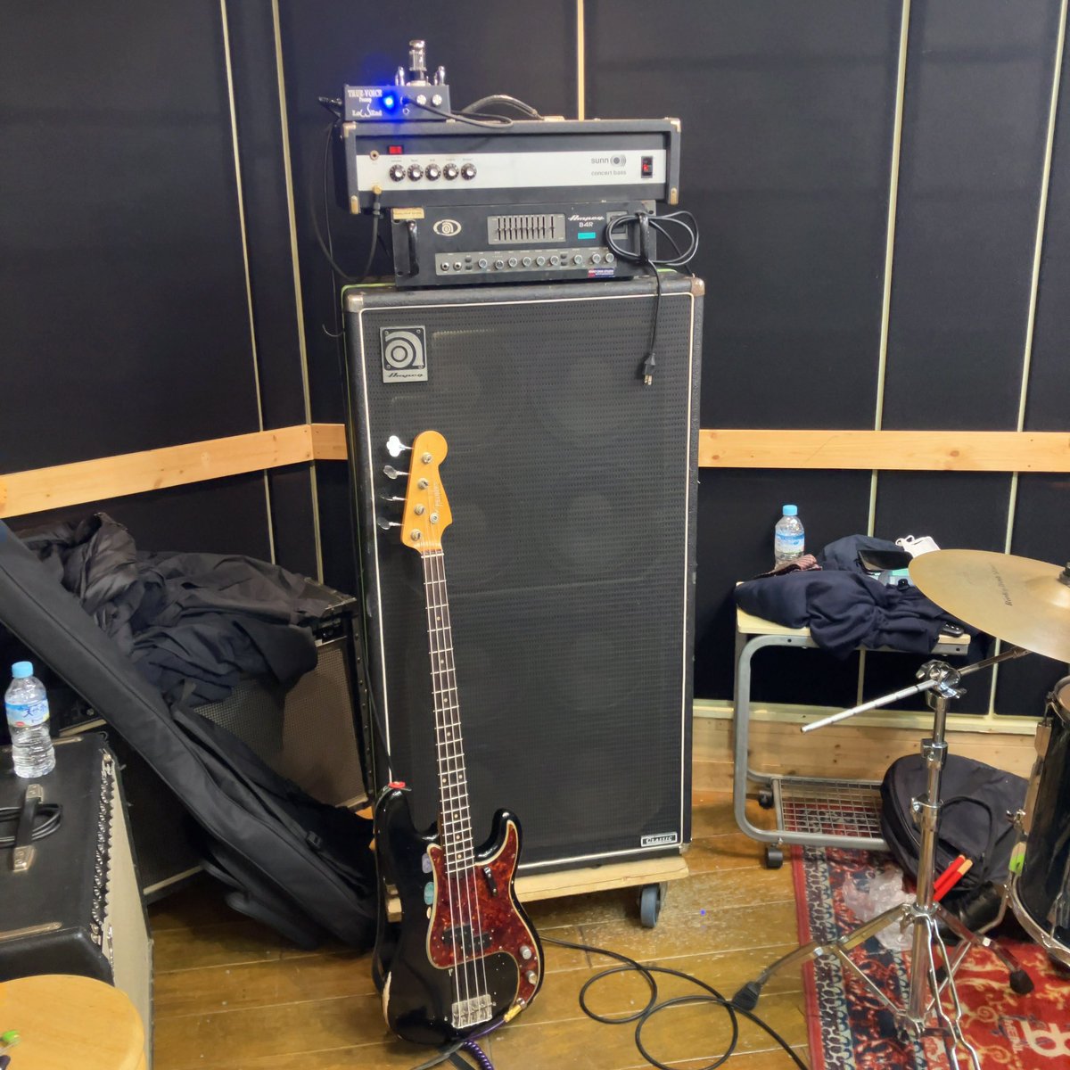 SUNN CONCERT BASS良いかもしれない。#malegoat