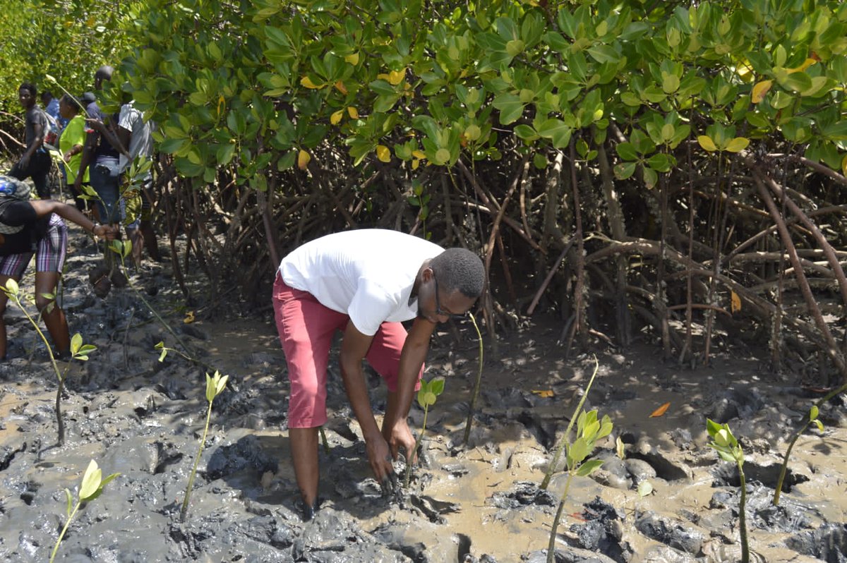 Manuh_Mmoja's tweet image. Want to live longer? Consider planting and growing a tree #Trees4Future #PACJA #KPCG23 @PACJA1 @kenya_climate @UNEP @KeForestService @kwskenya @WilliamsRuto @GideonMungaroM