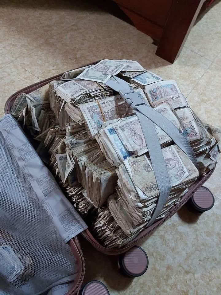 BlueseaVn tweet media