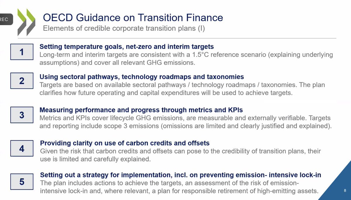 Fátima Azevedo tweet media