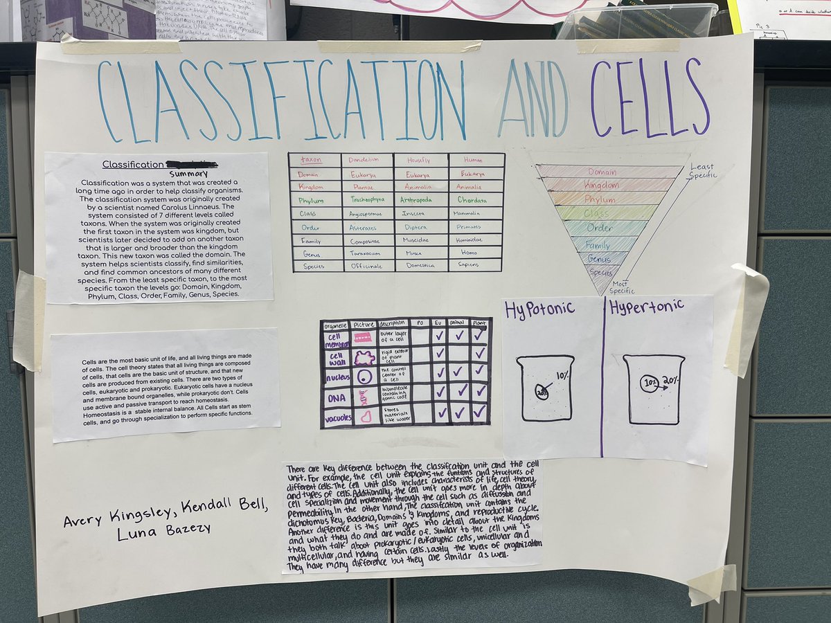 Kim S⌬ares (@kimteacheschem) on Twitter photo Bio Ss are discovering connections between different units as a cumulative review 🧬🧫🐍☀️#KISDscience #biology #STEMeducation <a href="/SecScienceKISD/">Tina Hovance</a> <a href="/crhs_science/">CRHS_Science</a> Bio Ss are discovering connections between different units as a cumulative review 🧬🧫🐍☀️#KISDscience #biology #STEMeducation <a href="/SecScienceKISD/">Tina Hovance</a> <a href="/crhs_science/">CRHS_Science</a>