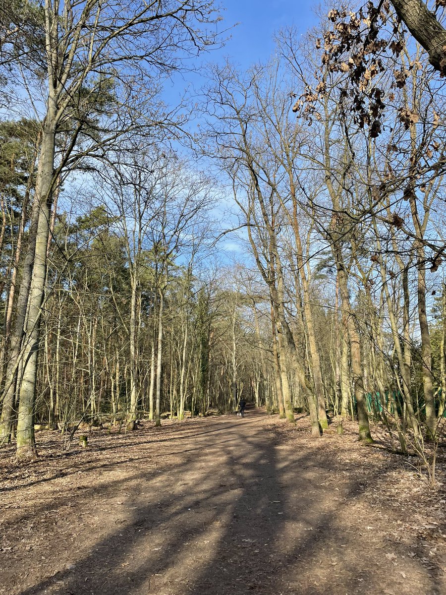 blackwatertrain's tweet photo. Today we are exploring hidden gems of Berlin during our #ActivateYourStrengths #KA1 training 🧘‍♀️ https://t.co/rHXOqXGPYR