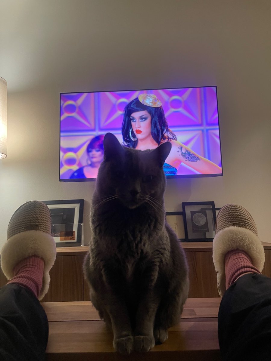 Give the people what they want (me)! #cats #CatsOnTwitter