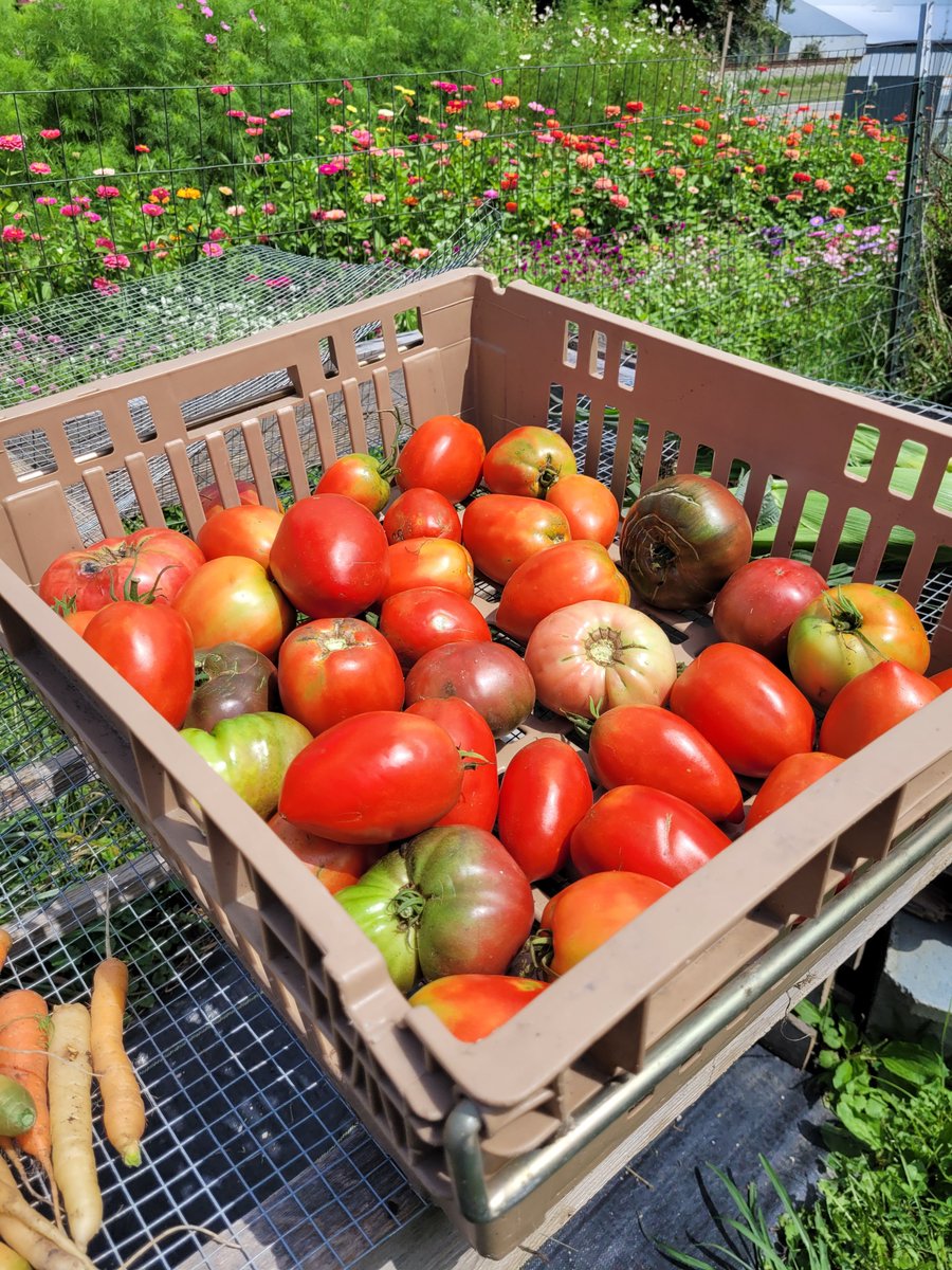 ASD’s Groundwork is the fast-track, paid training program at our gardens &amp; warehouse built to feed your need to change your life. We train, give chances &amp; affect change. Learn more: asdevelop.org/programs-resou…. #SkillsGrowHere #personaldevelopment #LivingBetterLocally #careers