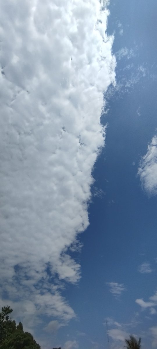 abcderimm tweet picture
