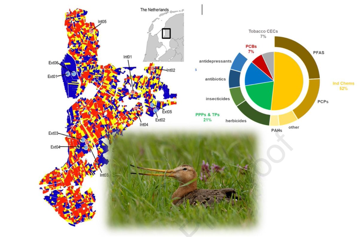 Global Flyway Network tweet media