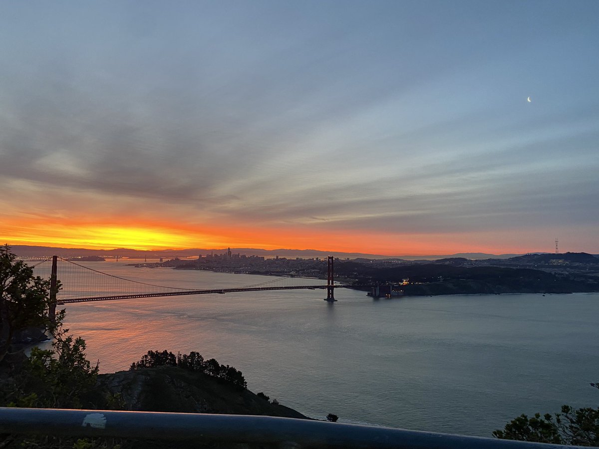 Zain Rizavi tweet media