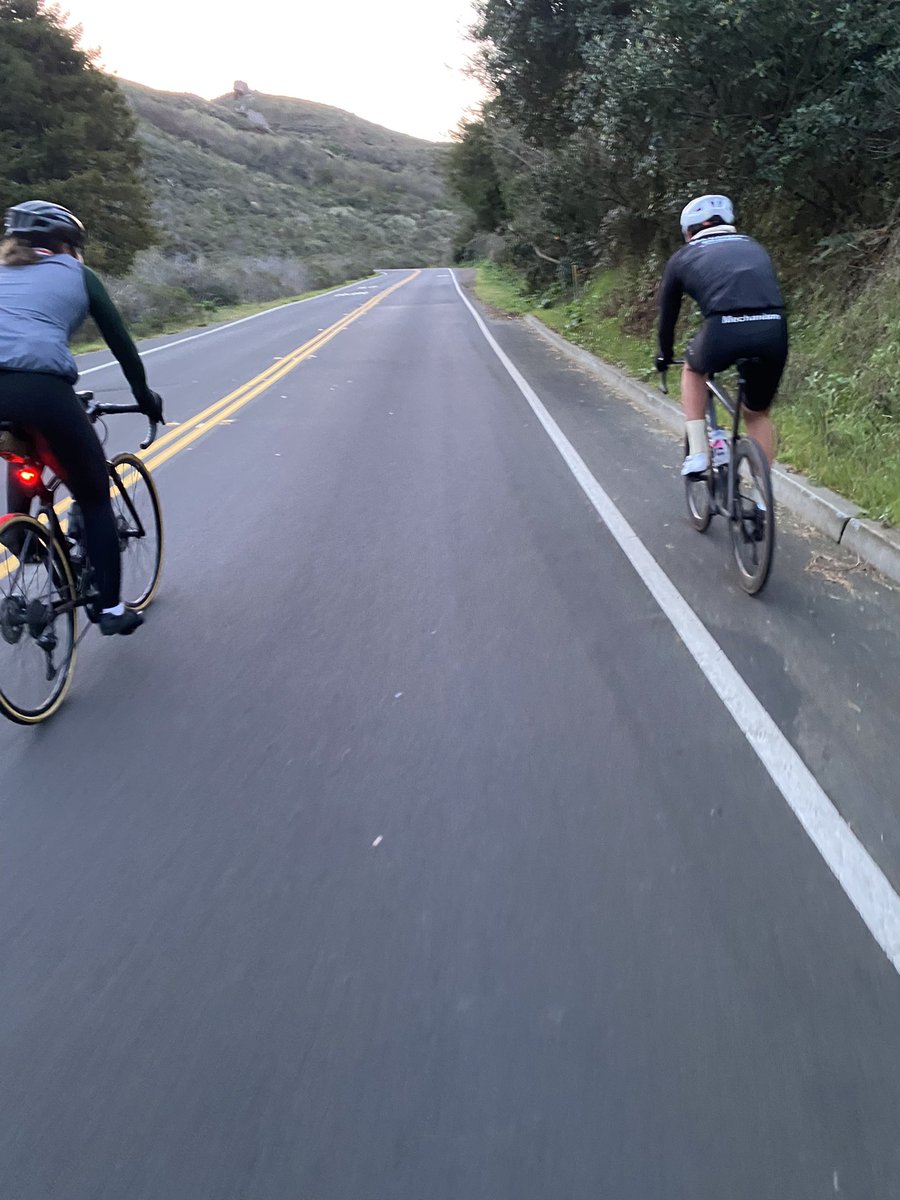 Zain Rizavi tweet media