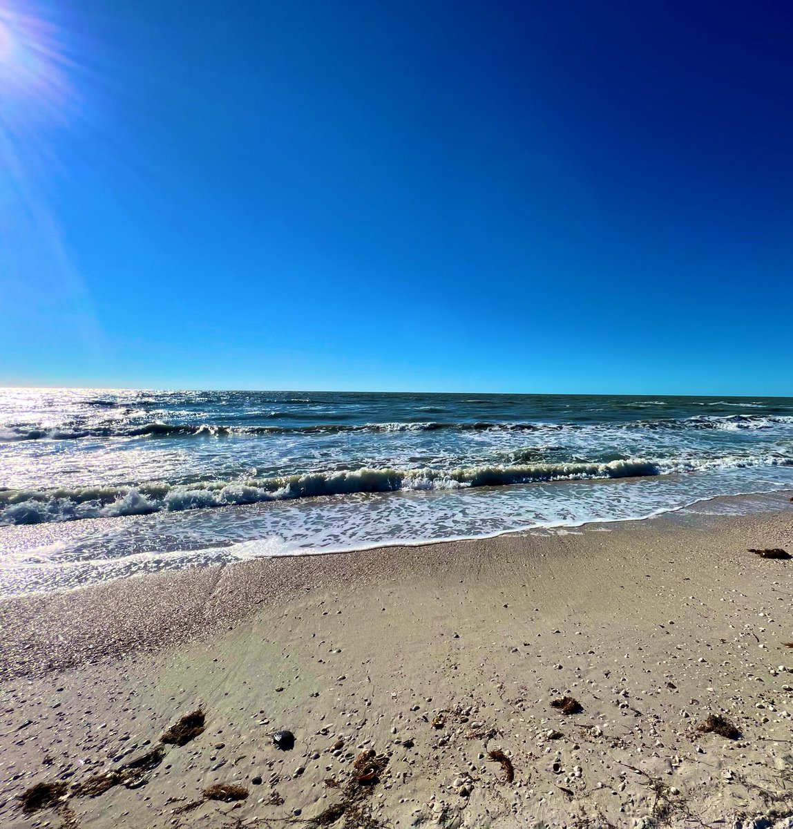 🔱chirocryptø🦅 tweet media