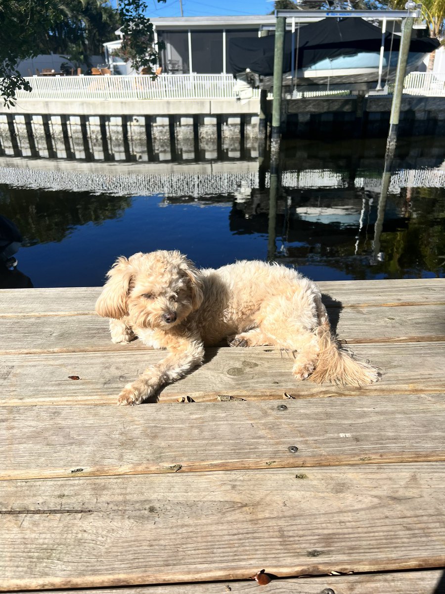 🔱chirocryptø🦅 tweet media