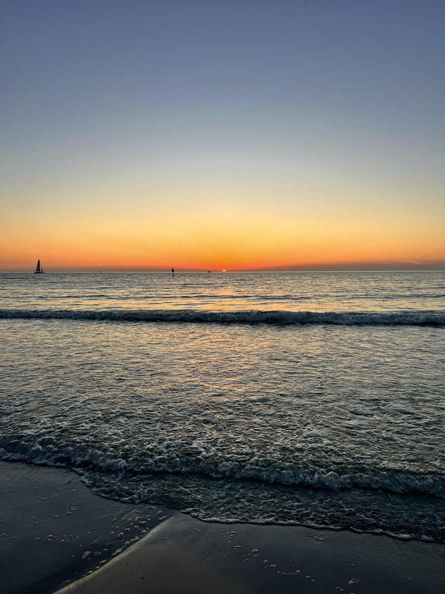 🔱chirocryptø🦅 tweet media