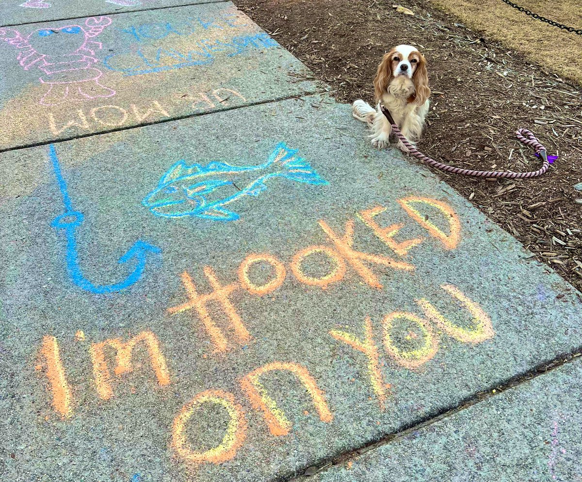 I’m hooked on you. 
💕,
Penny 

#cavalier #gooddog
