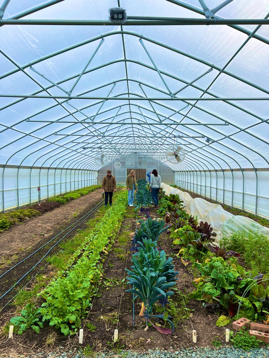 scomorrison's tweet photo. When Ashlie Thomas, author of How to Become a Gardener, which is one of the texts in your course, joins you at Loy Farm for class and shares so much brilliance and wisdom. #ElonEd #gardenbasedlearning #enviroed #farmbaseded https://t.co/m2fho1kIdW