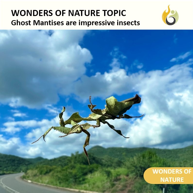 Bushguide101 tweet media