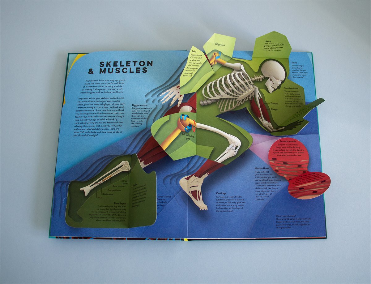 _illustrationX's tweet photo. An exciting new book launches today, “Paper World: Human Body” illustrated throughout by paper cut artist @armstrong_illus is a one-of-a-kind paper-cut book where the human body comes to life!
.
See more: https://t.co/yABZ1vTAEK
.
#WEAREILLUSTRATIONX #PaperWorldHumanBody https://t.co/Yb6GNI1fsM