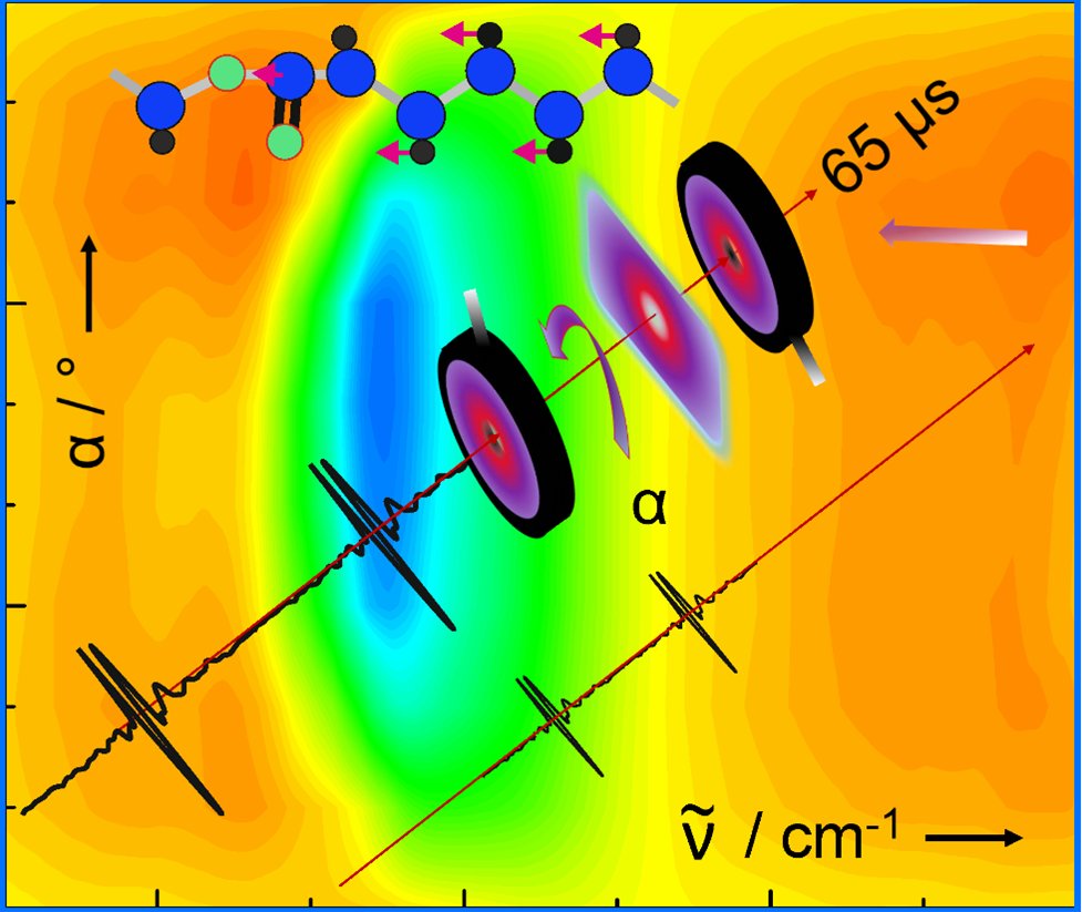 NatSci_journal's tweet photo. Classical infrared spectroscopies are workhorses in many labs. A new polarization-dependent IR spectroscopic method beyond the technical possibilities of classical Fourier-transform IR is presented by Karsten Hinrichs et al. 
@isas_Leibniz @IRsweep @HZBde 
https://t.co/VO0rOr5FTa https://t.co/C85iW8bxX2