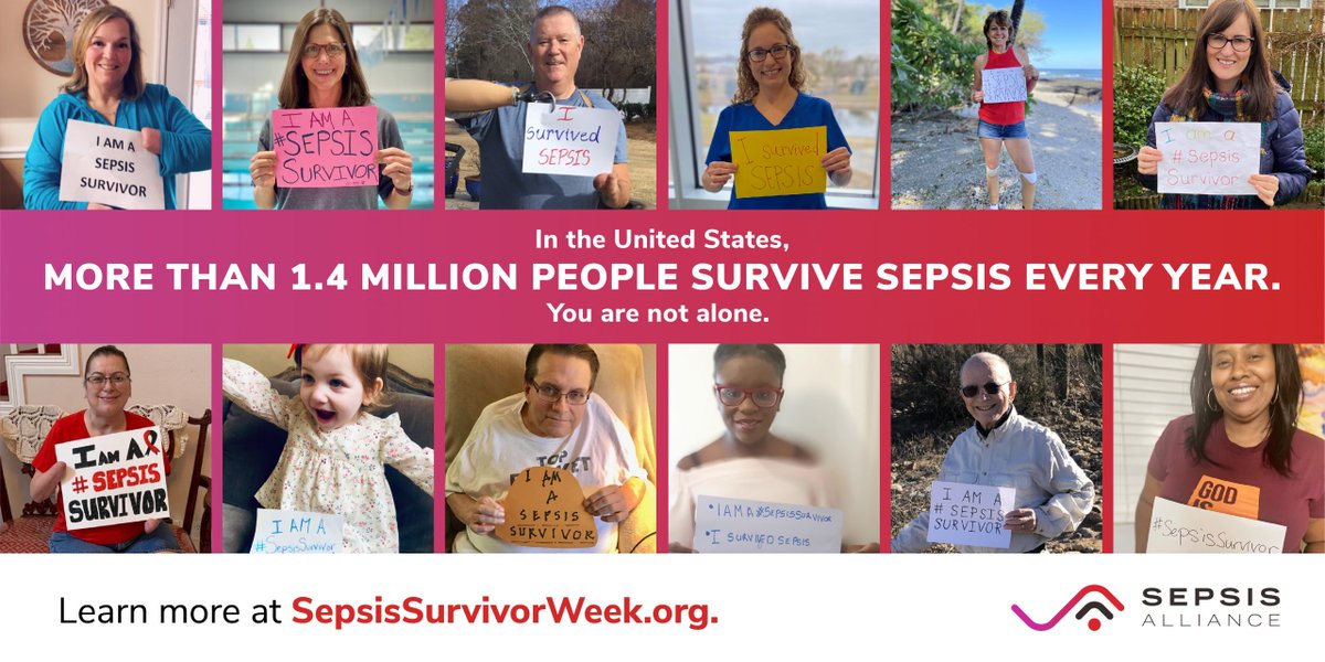 Accelerate tweet media